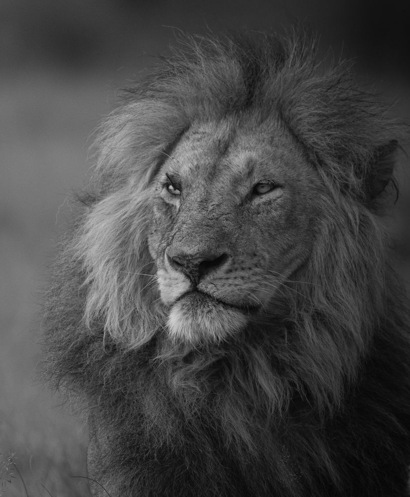 Photograph by SETHU RAJ R