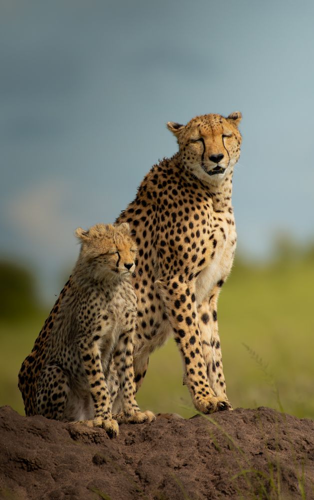 Photograph by SETHU RAJ R