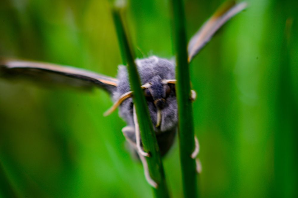 Photograph by Yrii Usoltsev