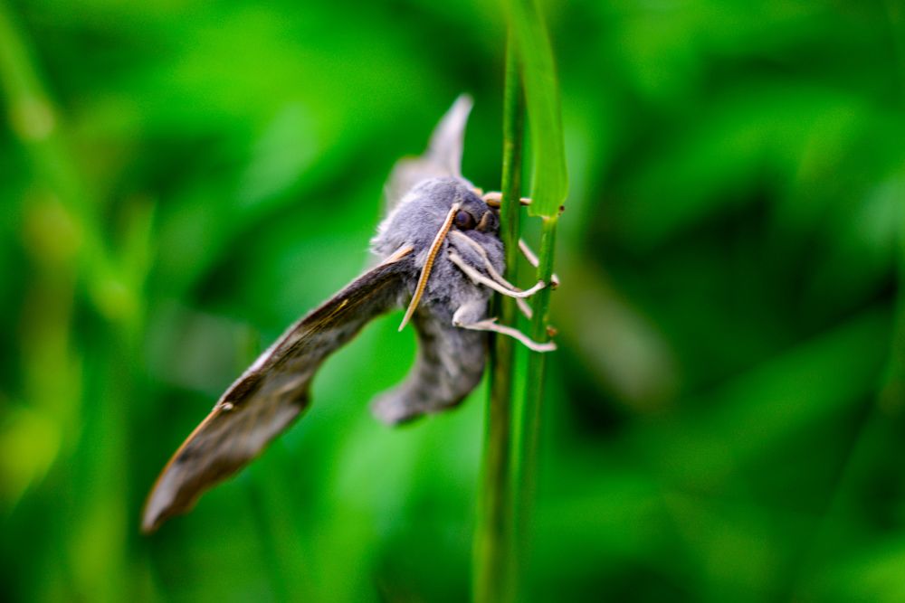 Photograph by Yrii Usoltsev