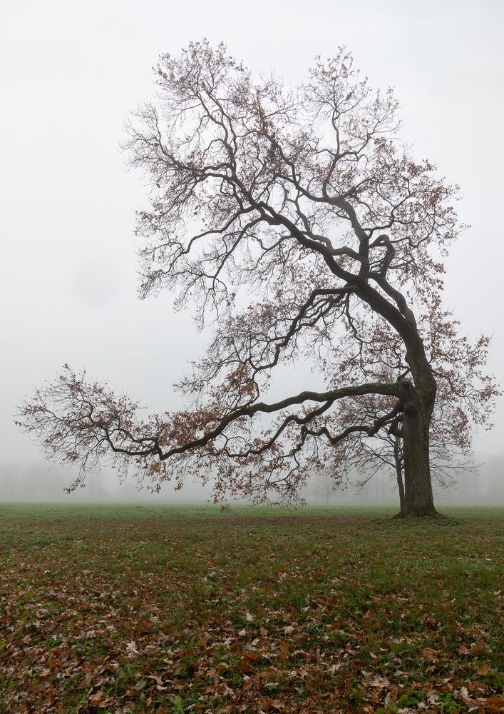 Photograph by Юрий