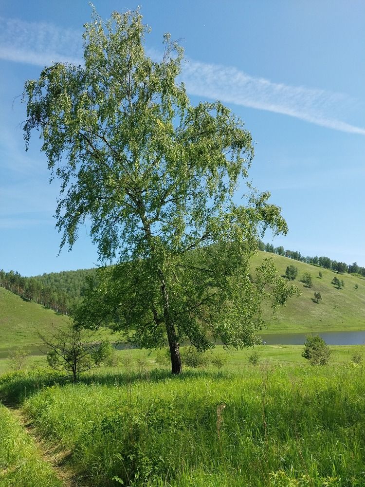 Photograph by Юлия Фирман