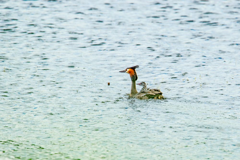 Photograph by Александр Козин