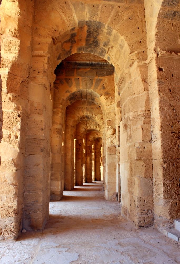 Photograph by Александр Копылов