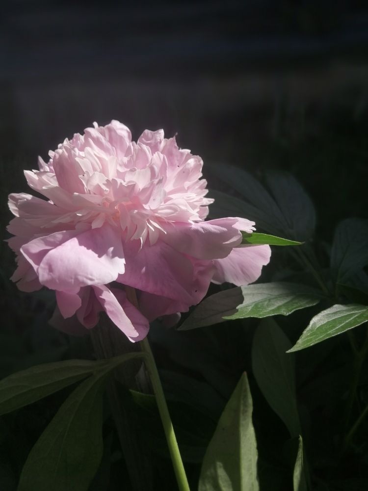 Фотография автора Татьяна Савранчук