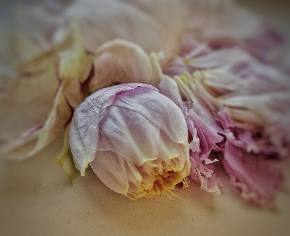 Фотография автора Татьяна Савранчук