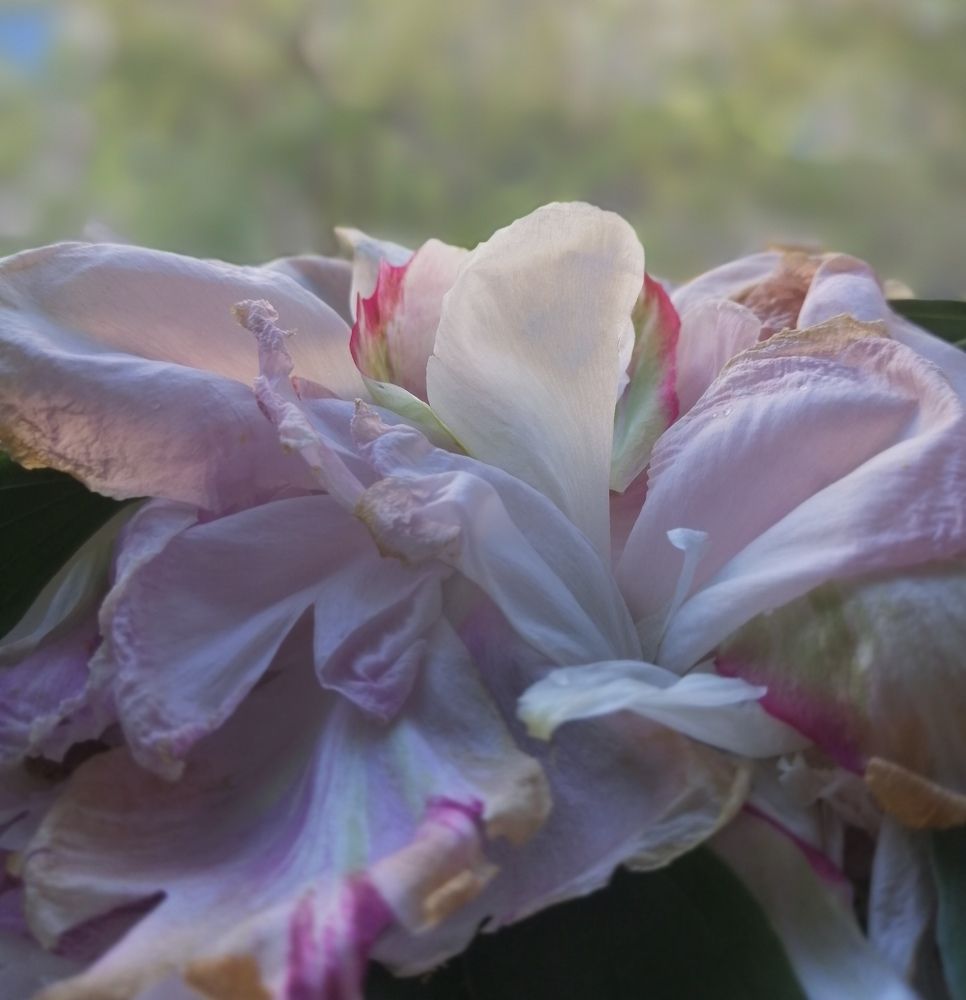 Фотография автора Татьяна Савранчук