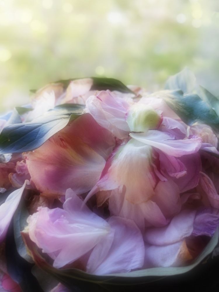 Photograph by Татьяна Савранчук