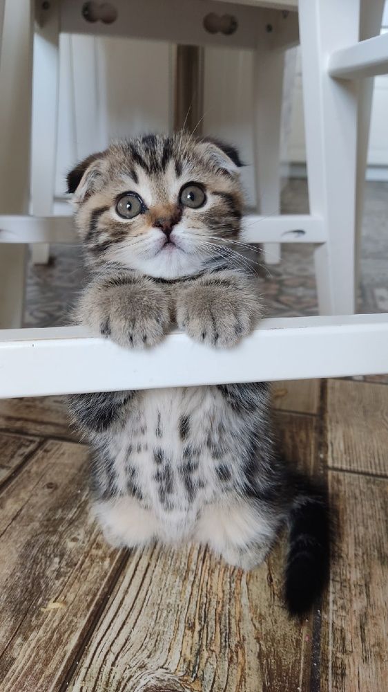 Photograph by Ольга Солодова