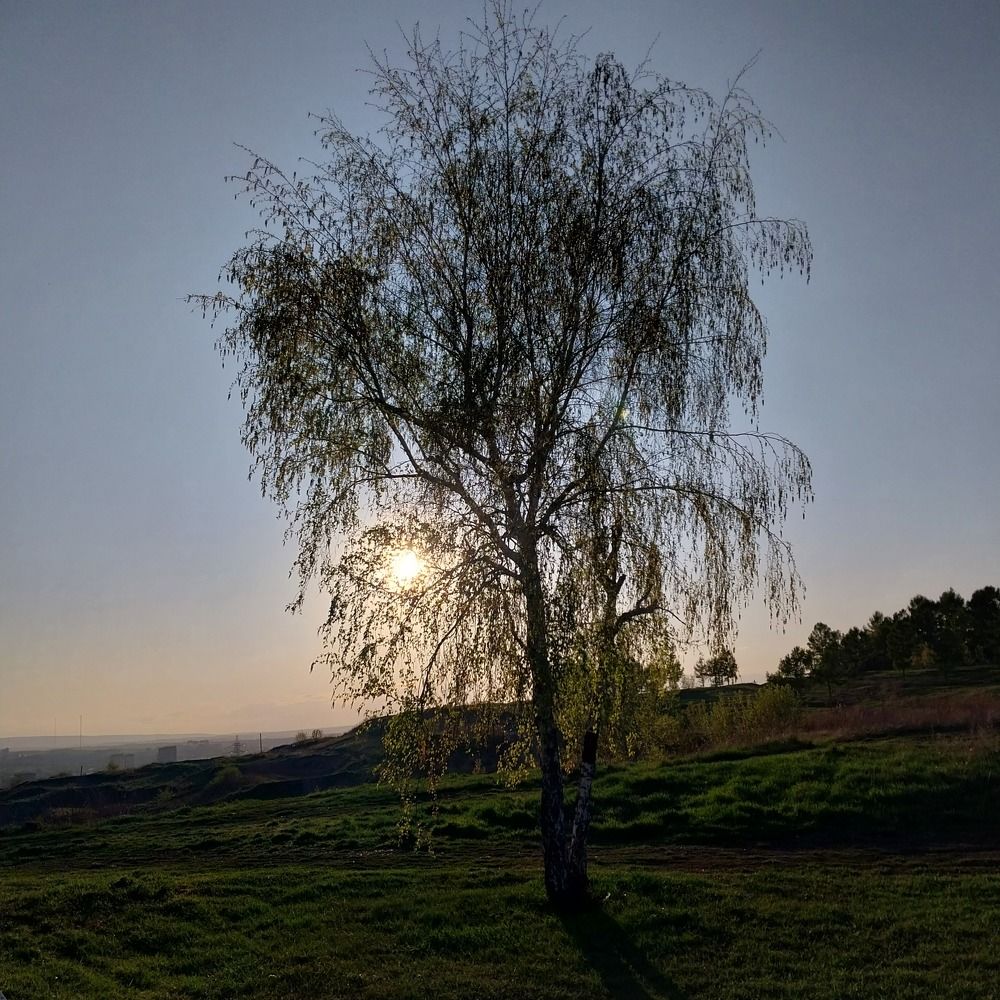 Photograph by Юлия Фирман