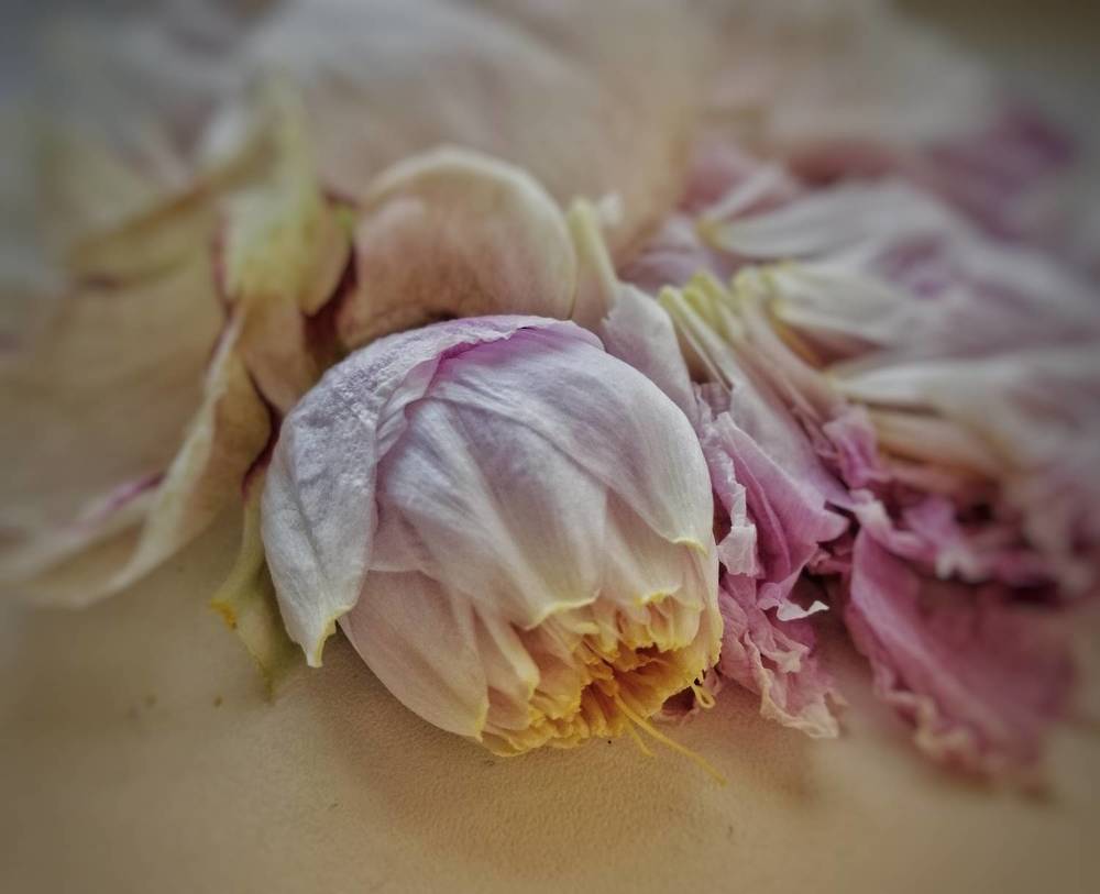 Фотография автора Татьяна Савранчук