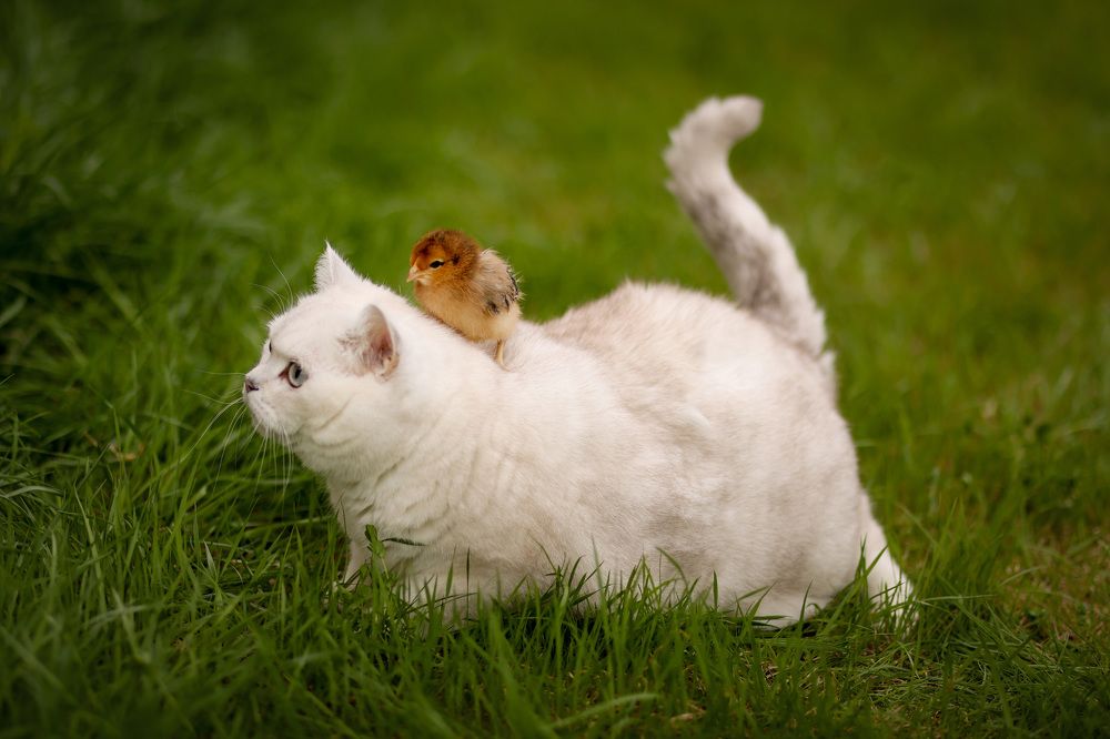 Photograph by Ольга Солодова