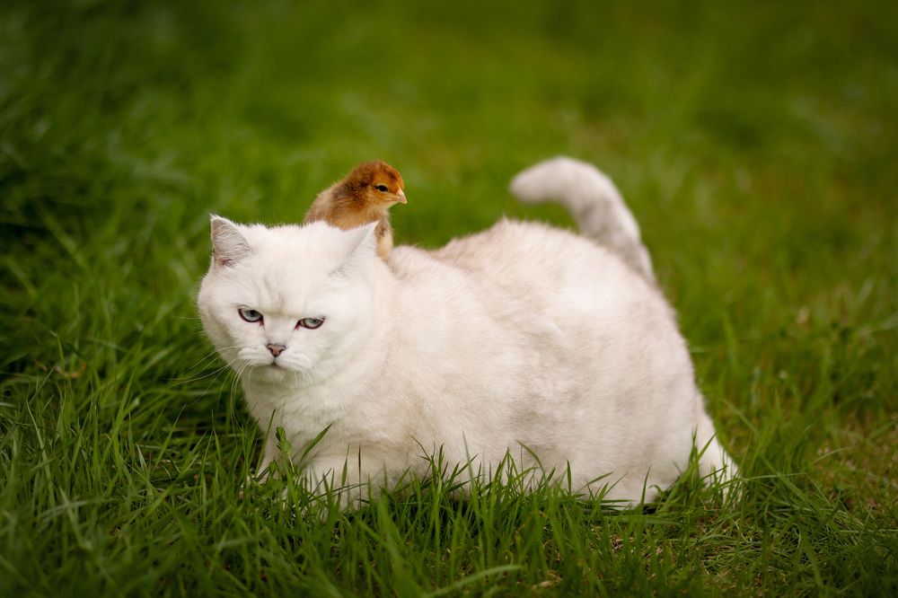 Photograph by Ольга Солодова