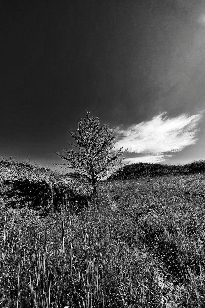 Photograph by Татьяна Егорова