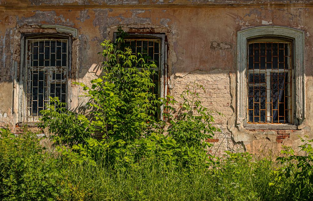 Photograph by Ирина Саломатина