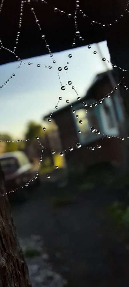 Photograph by Олеся Александрова
