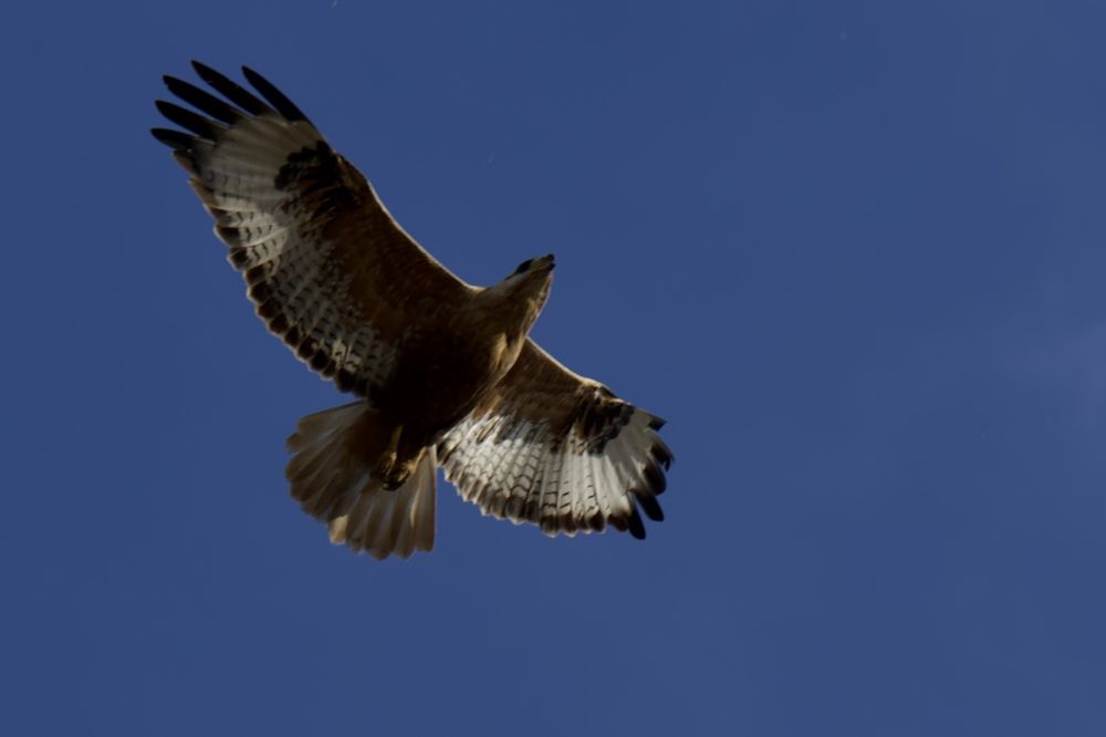 Photograph by Виктор Владимиров