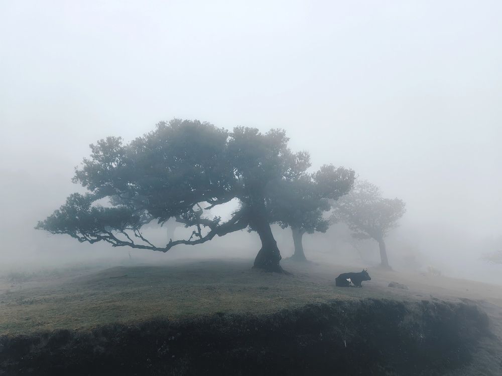 Фотография автора Konstantin Shendel