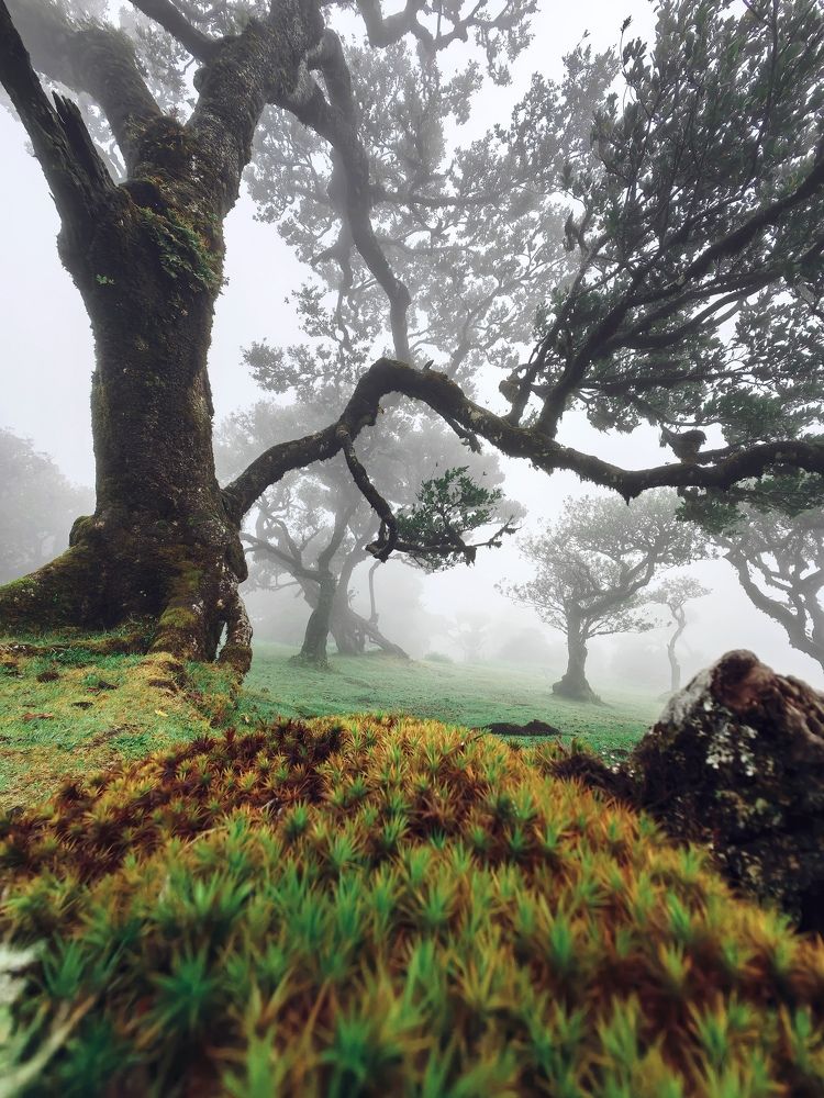 Фотография автора Konstantin Shendel