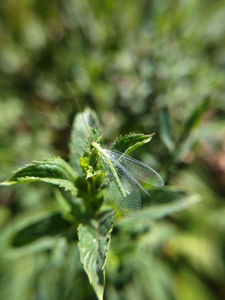 Photograph by Анна Степанова