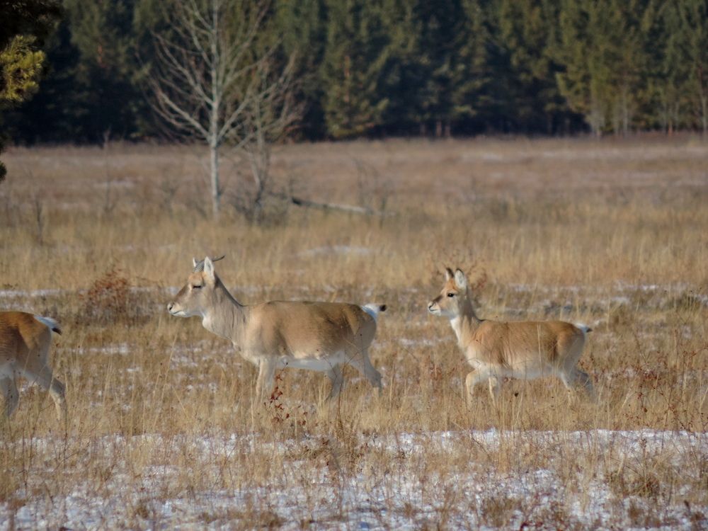 Photo #10748683