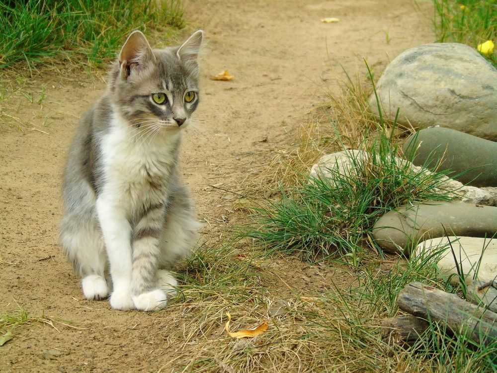 Photograph by Надежда Батракова