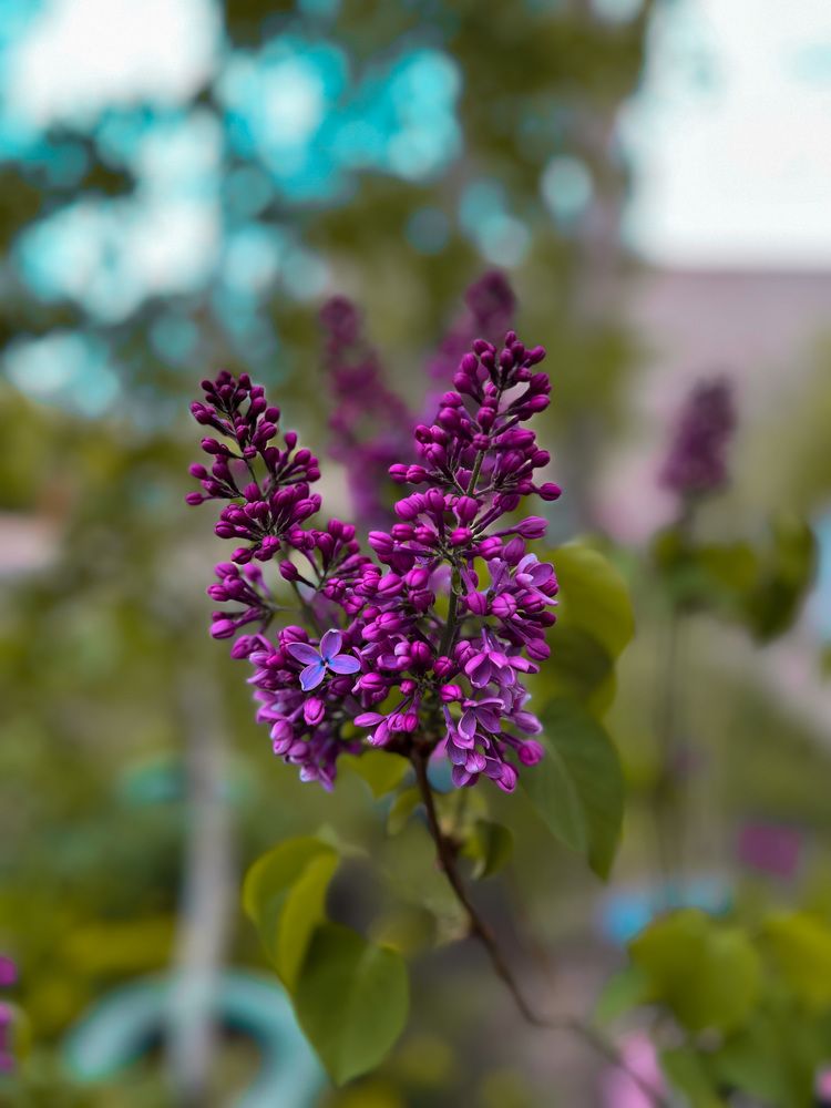 Photograph by Алёна Стародубцева