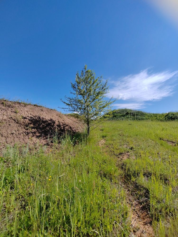 Фотография автора Татьяна Егорова