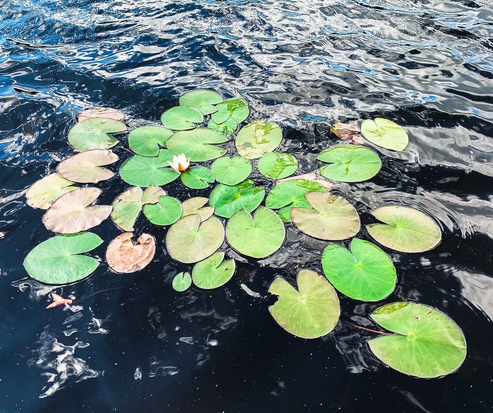 Photograph by Якушин Роман