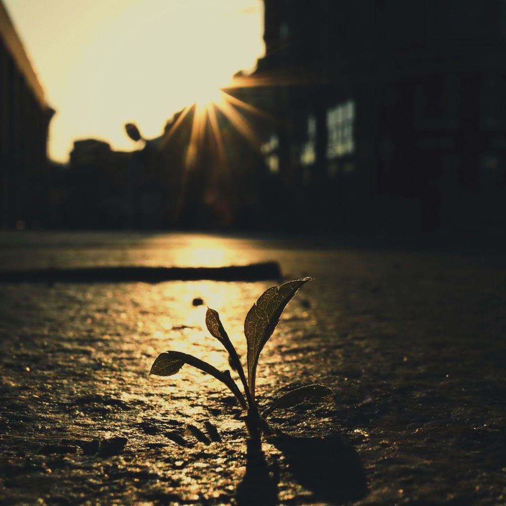 Фотография автора Сергей