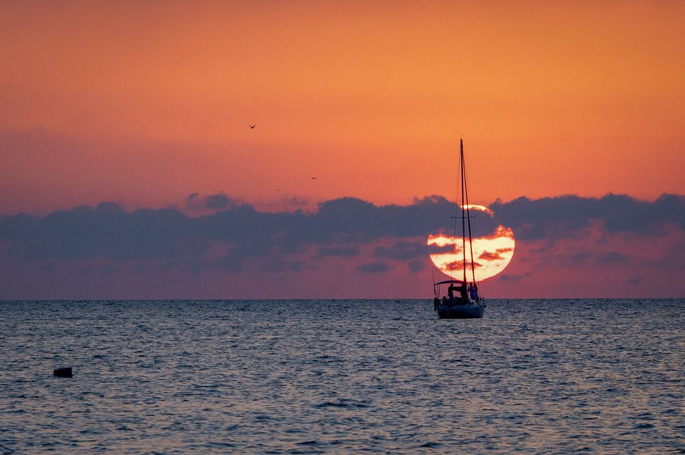 Photograph by Екатерина Рябинина