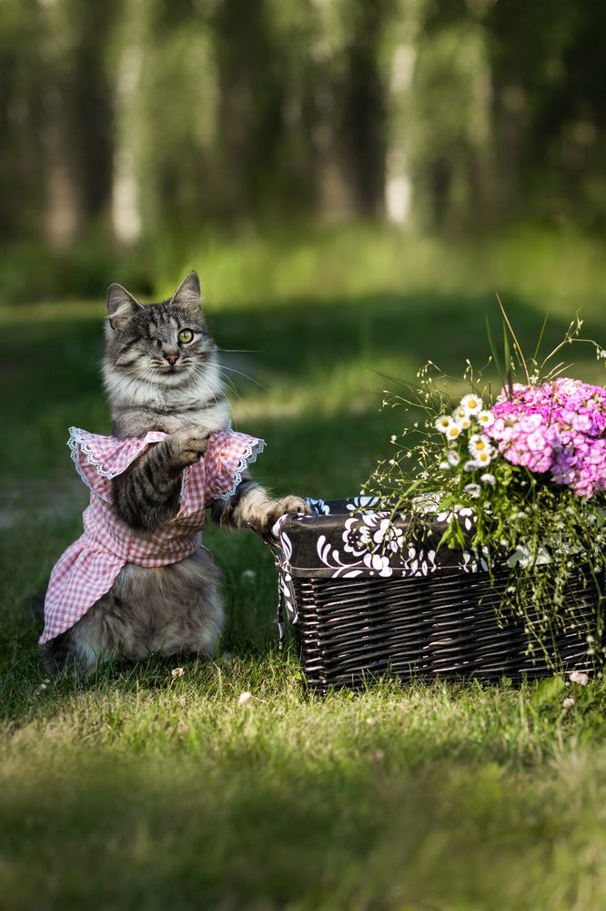 Фотография автора Татьяна Радусь