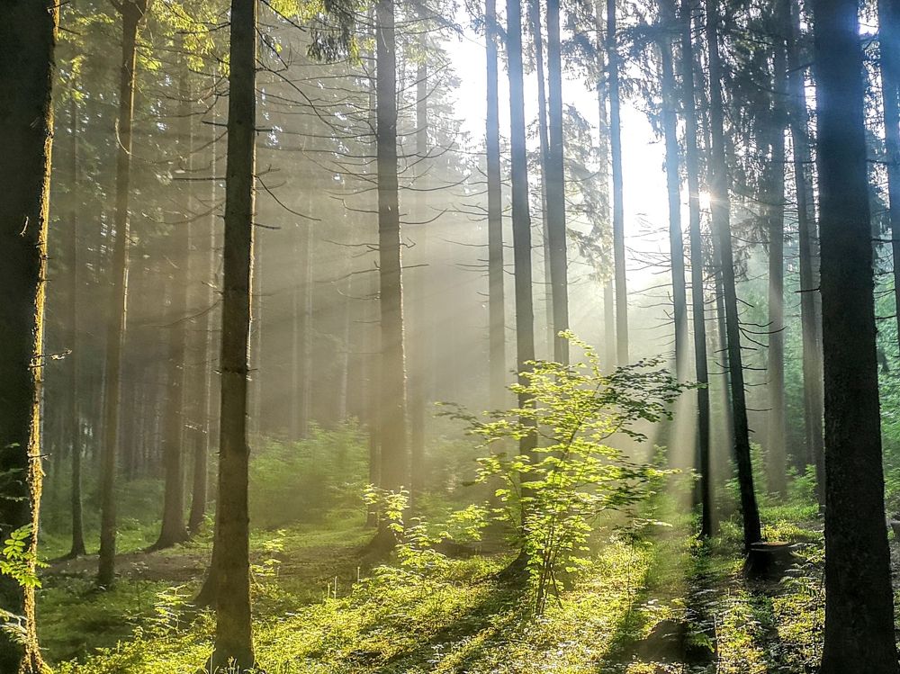 Photograph by Александр Айзенштадт