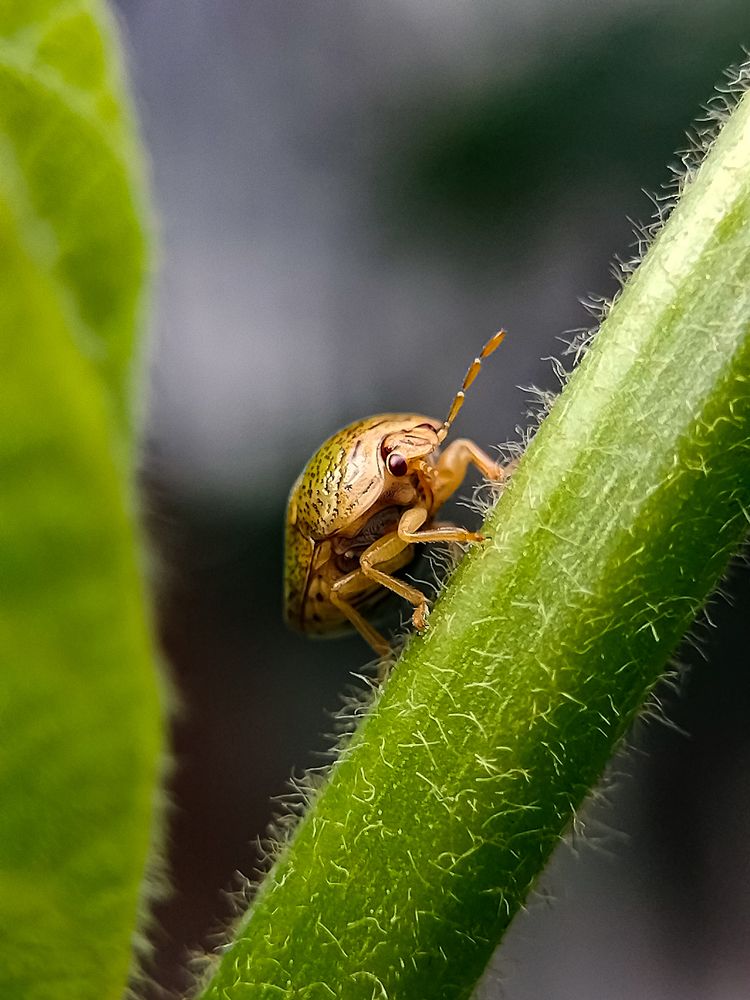 Photograph by Praveen