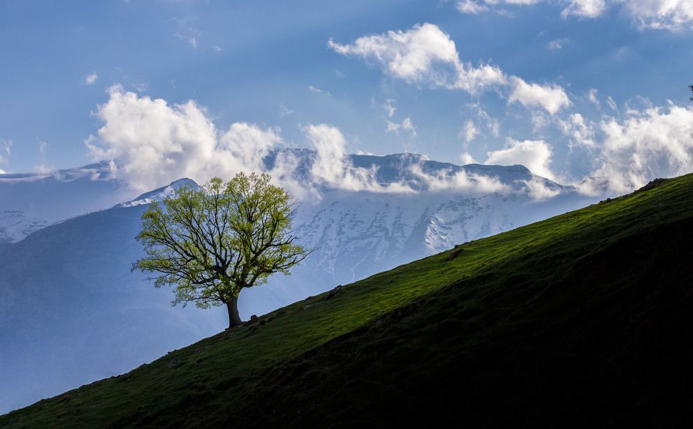 Photograph by arash radmanesh