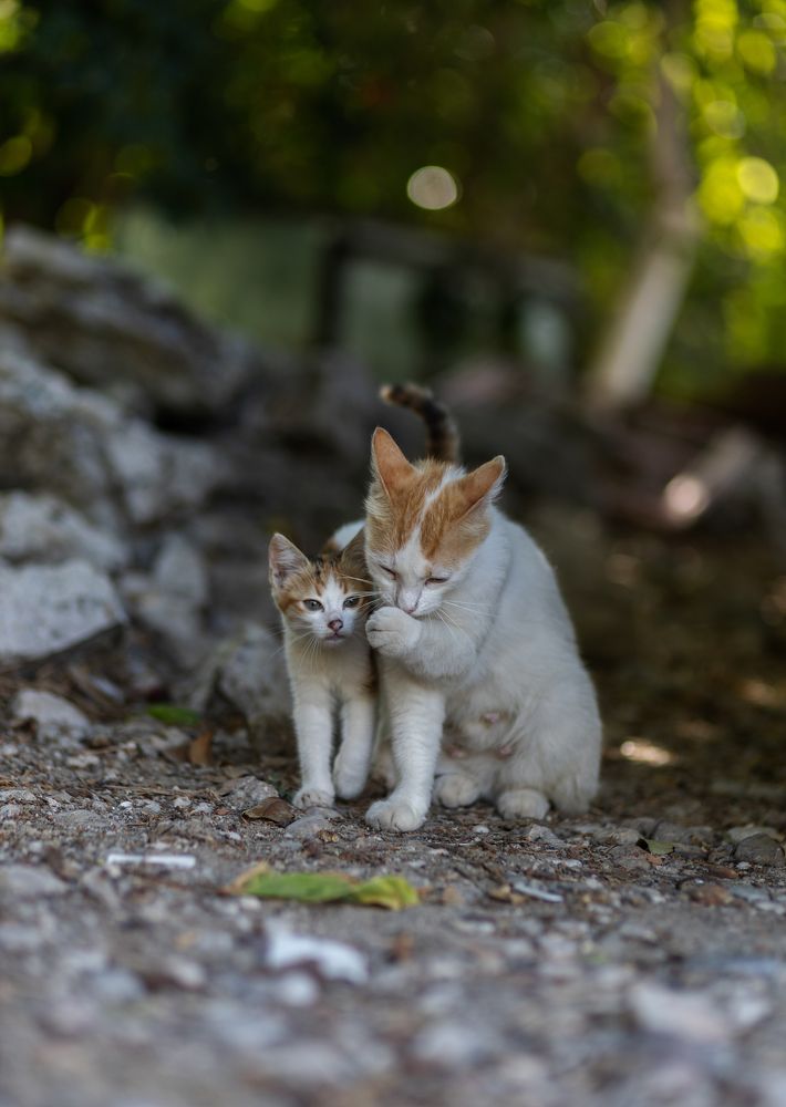 Photograph by Olga Min