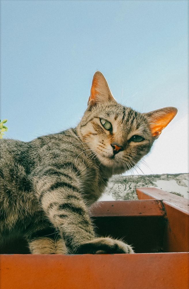 Photograph by Chau Nguyen