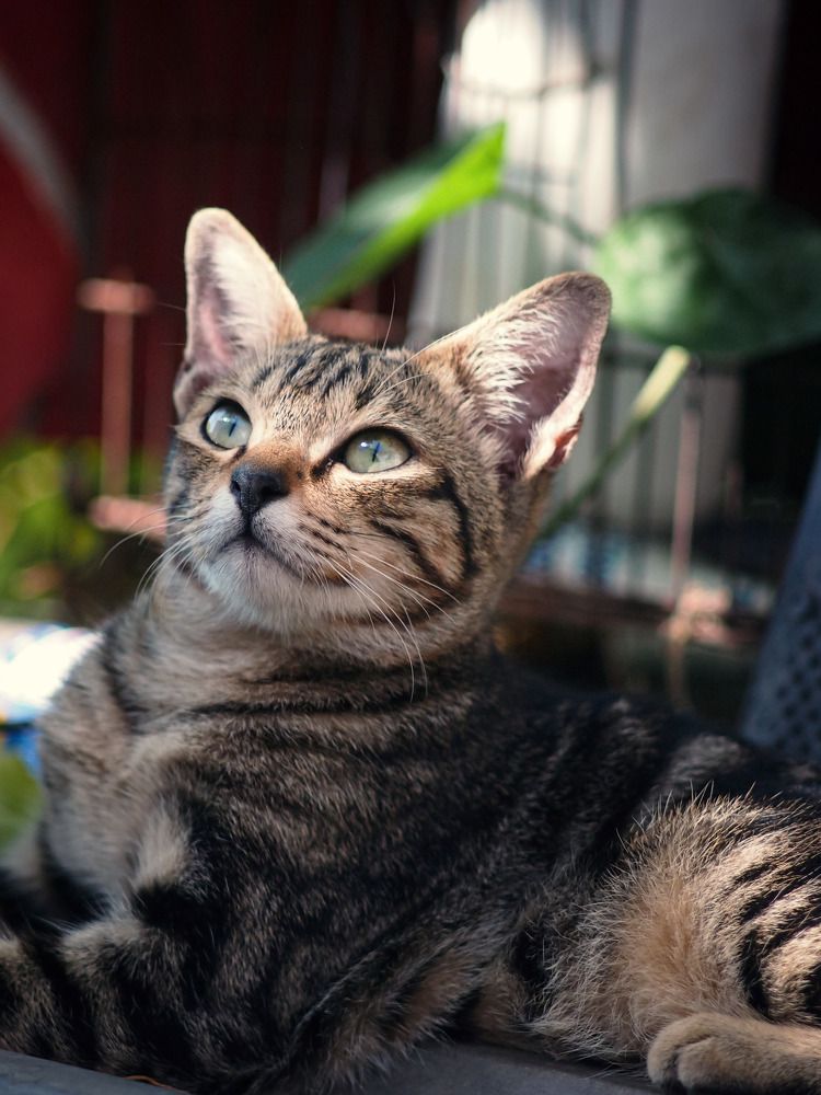 Photograph by Chau Nguyen