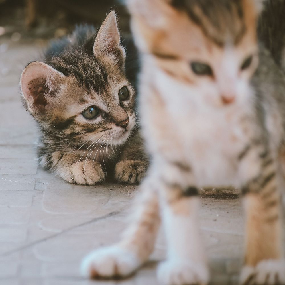 Photograph by Châu Minh Nguyễn