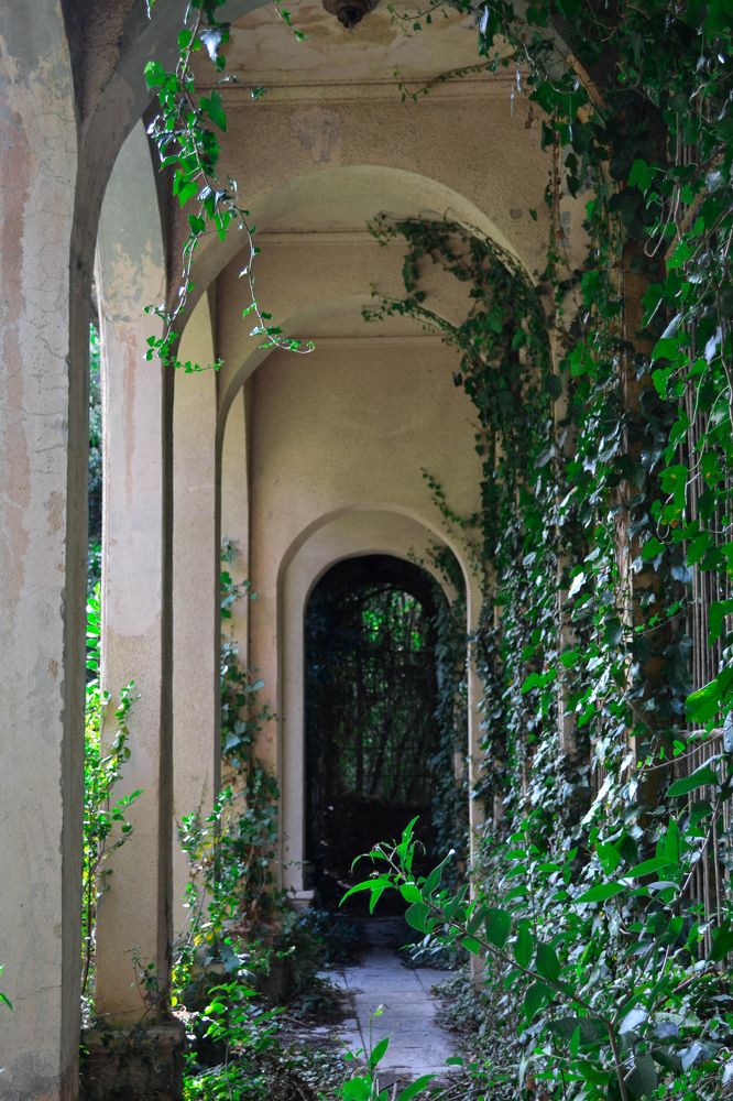 Photograph by Олеся Федорова