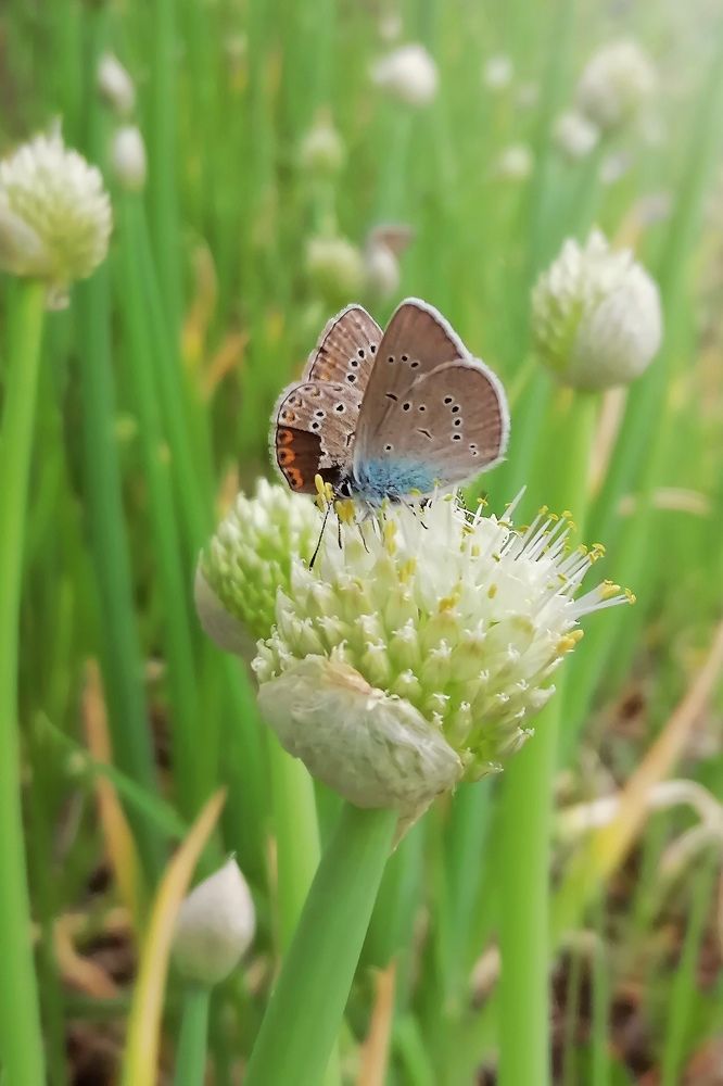 Photograph by Алексей Титков