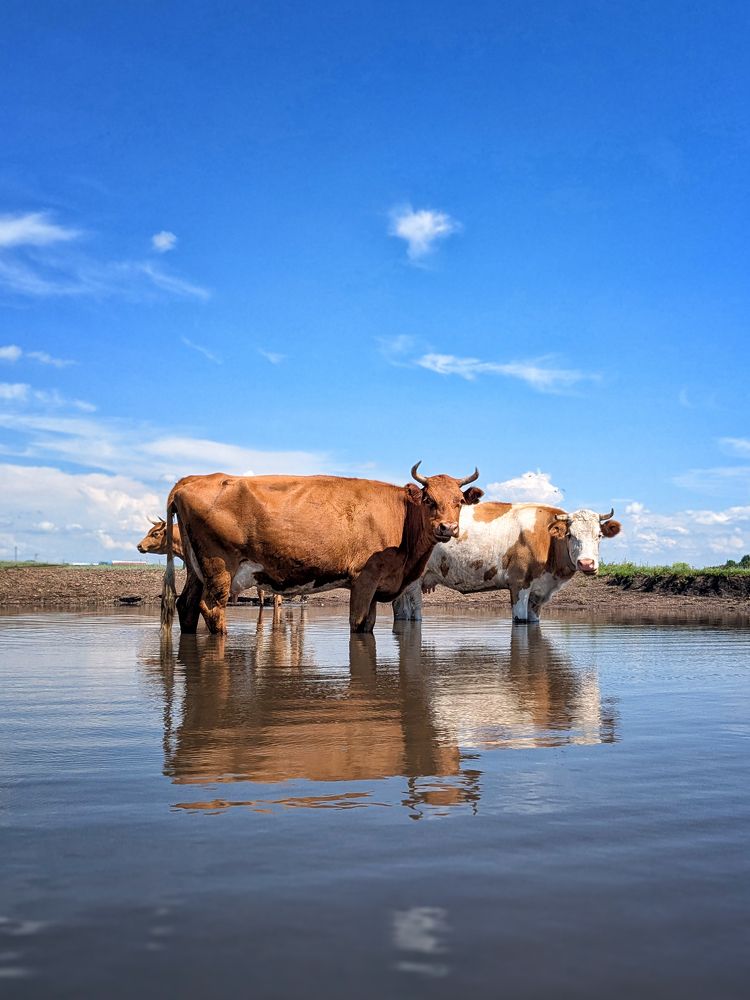 Photograph by Ишниязов Марсель