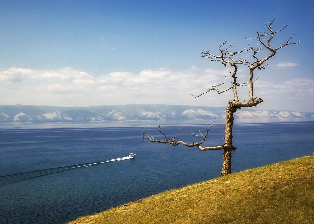 Фотография автора Татьяна Добровольская