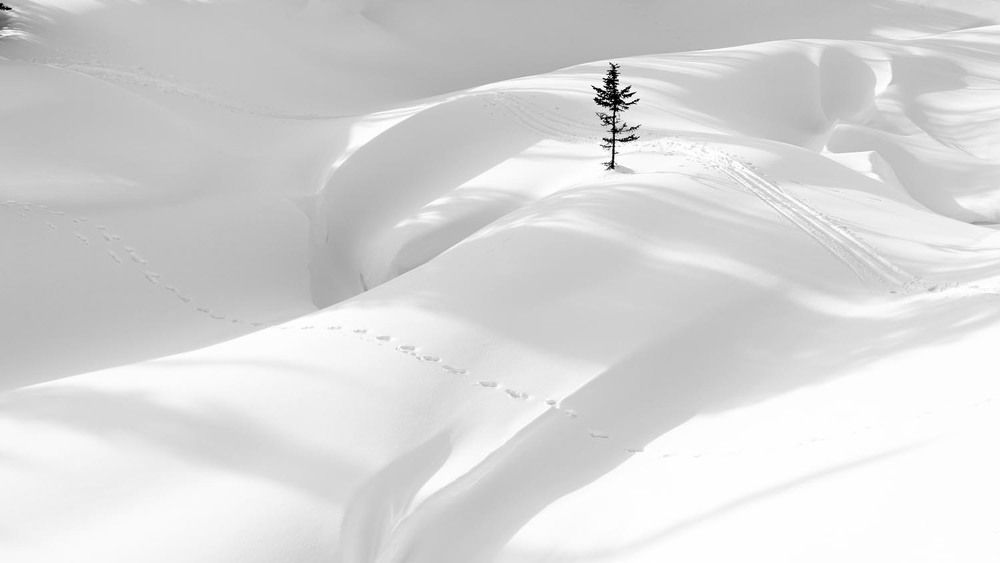 Photograph by Татьяна Добровольская