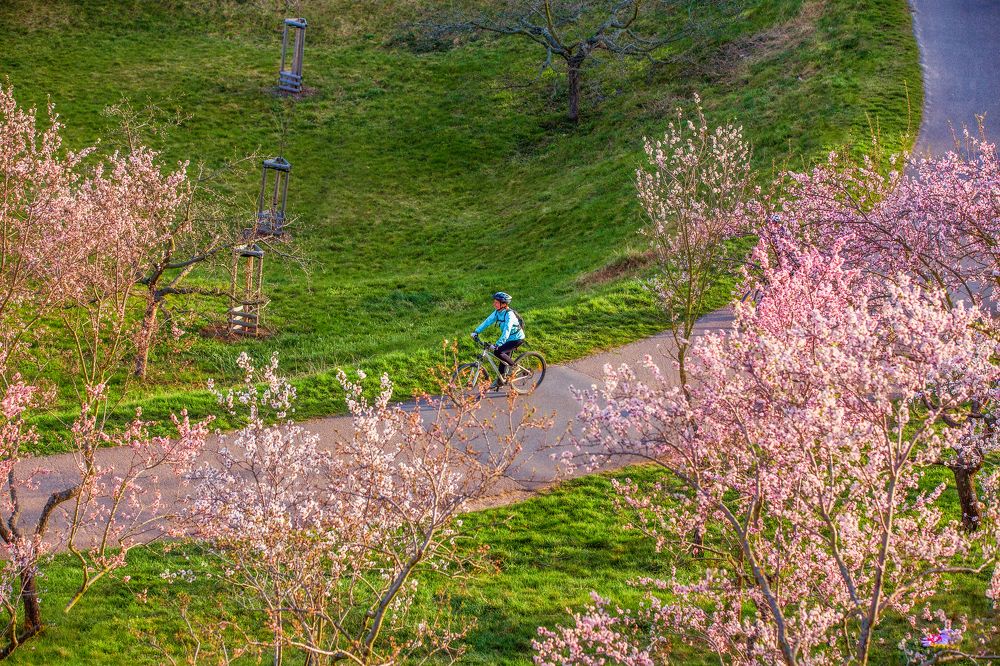 Photograph by Tomas Ha