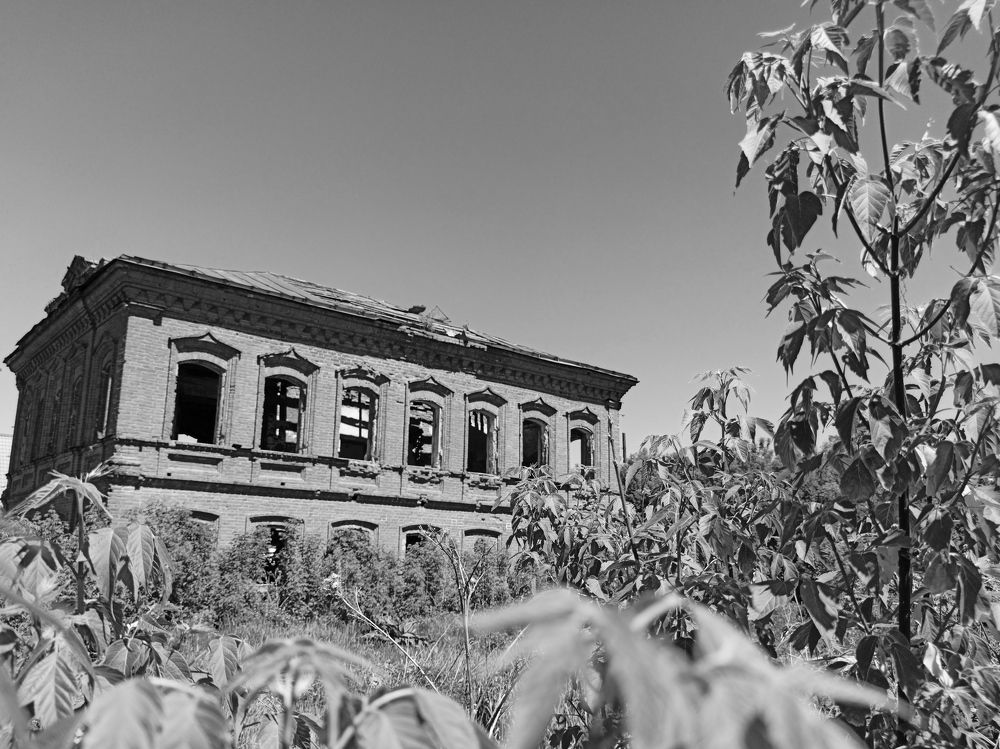 Photograph by Наталья