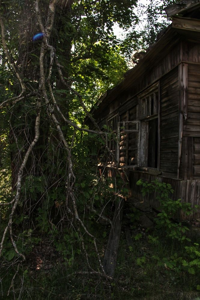 Photograph by Анна Швецова