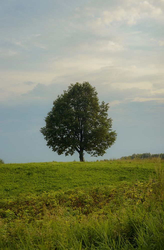 Photograph by Оксана Артимович