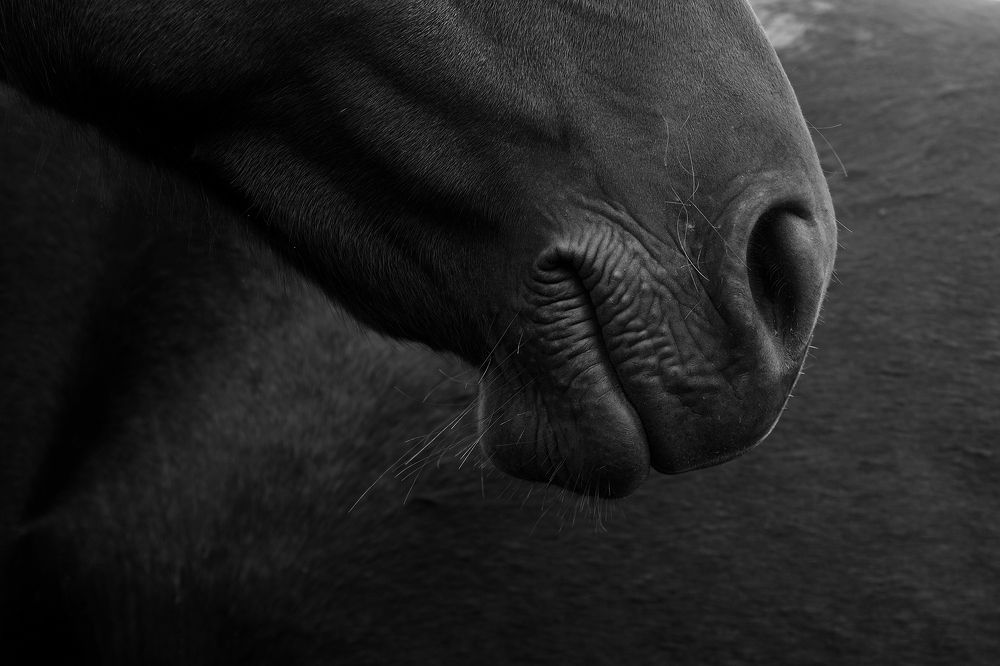 Фотография автора senjor