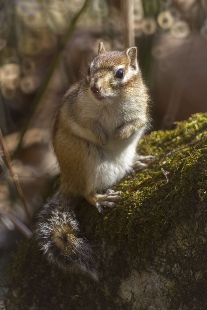 Photograph by ALEKSANDR KUZNETSOV